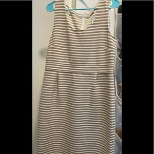 LOFT beige and white stripe dress
